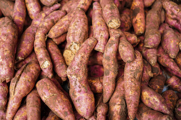 Close-up view of a pile of fresh sweet potatoes, showcasing their earthy tones and rough texture. A Pile of Sweet Potatoes at the Market. Close up sweet potatoes backgrounds.