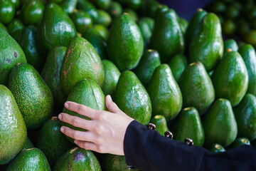 A hand gently touches a pile of perfect, ripe avocados at a vibrant market. The green fruits are ready for purchase. Hand Selecting Ripe Avocados at a Market