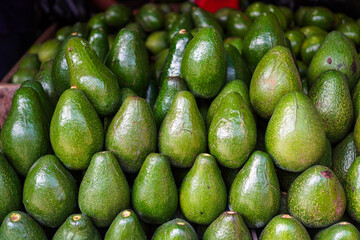 Close-up view of many green avocados at a market. Vibrant display of fresh avocados at a market with rich green hues and smooth skin. The abundance of avocados harvest and healthy eating.