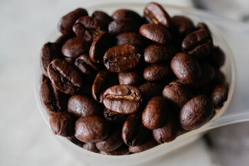 Stunning close-up of freshly roasted coffee beans piled in a clear measuring scoop, set against a clean white background. 
