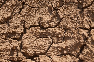 Natural Mud Texture with Earthy Patterns and Organic Details