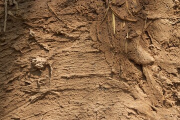 Natural Mud Texture with Earthy Patterns and Organic Details