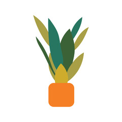 Illustration sansevieria flat unique design with blank background