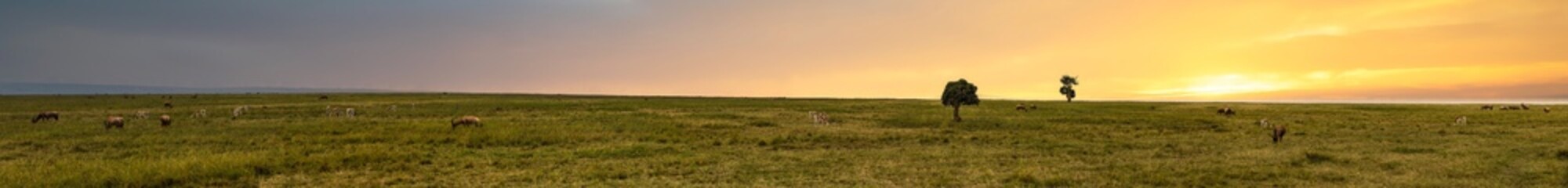 African savanna with grazing animals under a dramatic sky..
