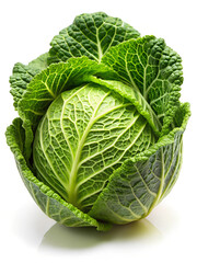 Fototapeta premium cabbage isolated on white background