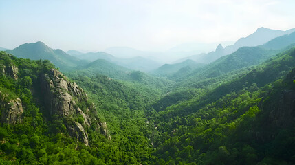 Fototapeta premium Lush Green Mountain Valley Panorama