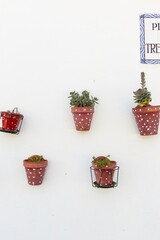 Rows of flower pots with flowering plants on a white wall. Design in Mediterranean countries, especially in Andalusia Spain. Decor of urban space, where nature becomes part of architecture.