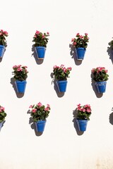 Decorating your own garden or yard. The classic combination of white, blue, green, orange colors makes it bright and harmonious. Vertical gardening is a popular trend in landscape design