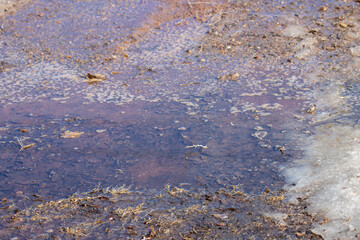 A puddle in the driveway with ice and snow