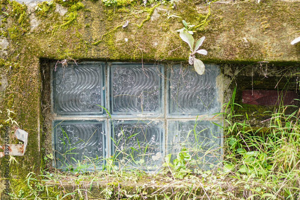 Poster a picture of an old basement window covered in moss and weeds. the glass blocks have a unique patter