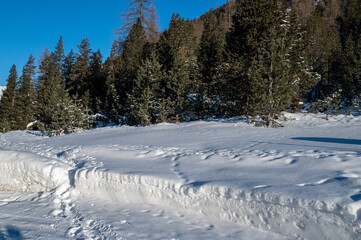 Mountain road in the Alps, Northern Italy. Snow-covered roadside with pine trees.
