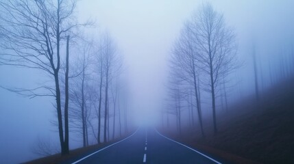 Fototapeta premium foggy road with trees in the fog