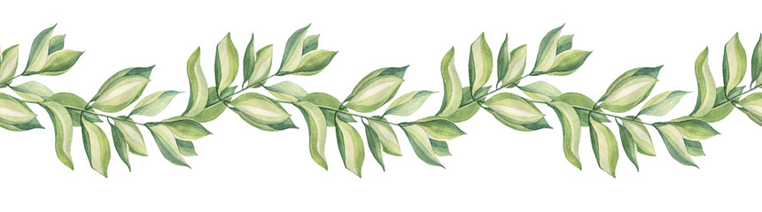 Watercolor seamless rim with green bouquet with leaf of flower succulent on white background. Hand-drawn summer wild plant foliage for frame. Botanical border for tea or wallpaper or wrapping kitchen