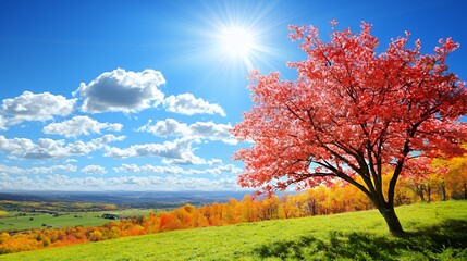 Vibrant Red Tree on a Hillside Under a Sunny Autumn Sky