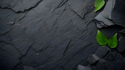 Green Leaves on Dark Grey Textured Stone Background