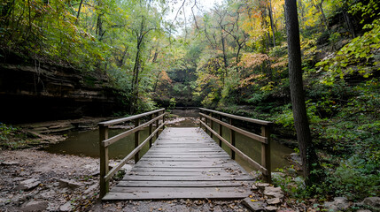 Fototapeta premium Wooden Bridge Over Calm Creek in Autumn Forest