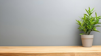 Green Potted Plant on Wooden Table Against Gray Wall
