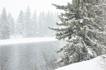 Snake River during snowstorm; Grand Teton NP; Wyoming