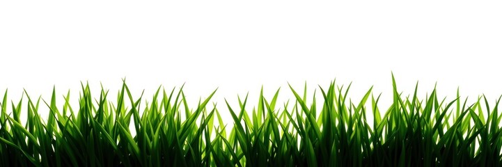 Lush green grass creates a vibrant border, illustrating the freshness of spring. The landscape appears alive, inviting moments of relaxation and enjoyment outdoors