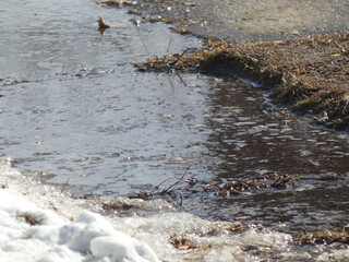 Water from the melting snow is flowing onto the sidewalk to create a puddle