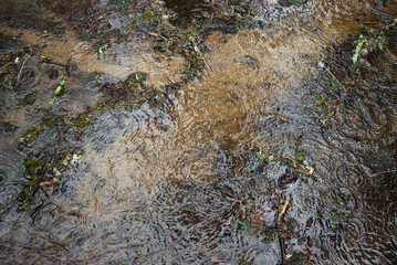 flooded path