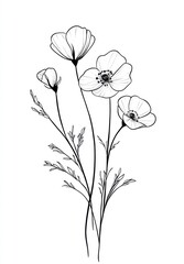 Simple line drawing of three poppies and a bud.