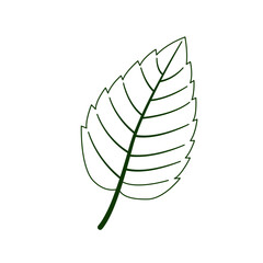 Leaf icon