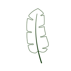 Leaf icon