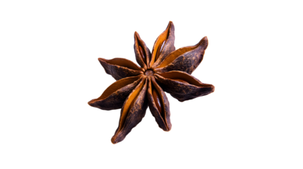 Aromatic star anise pod on transparent background perfect for culinary and design use