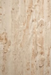 Wood grain panel background with OSB texture in light white and cream colours,  cream, wood