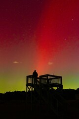 Fototapeta premium Northern Lights Silhouette 