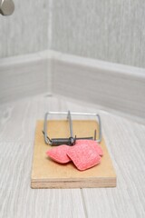 Mouse trap with rat poison on floor indoors, closeup