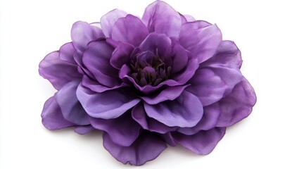 Elegant Purple Flower Bloom on White Background for Design Use