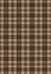 Obraz premium This is a brown plaid pattern appearing in a vertical orientation