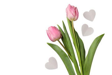 PNG, March 8. Pink tulips with hearts, with space for text, isolated on white background.