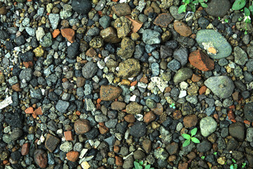 A Layer of Gravel Texture for background design.