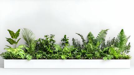 Lush Green Plant Arrangement in a Long White Planter