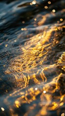 Golden light reflects on rippling water.