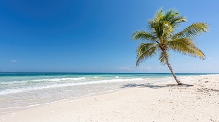 Obraz premium Tropical beach scene with single palm tree. Tranquil coastline. Vacation getaway