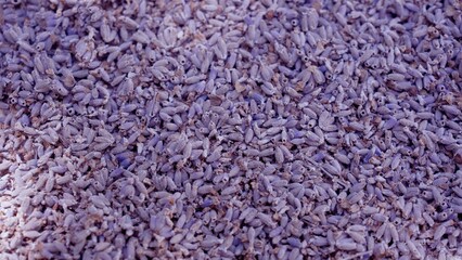 French Lavender Buds For Crafting