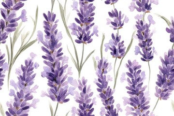 Naklejka premium Floral Lavender Background, purple flowers and stems on a white backdrop