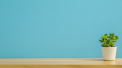 A small potted plant sits on a wooden table against a blue background