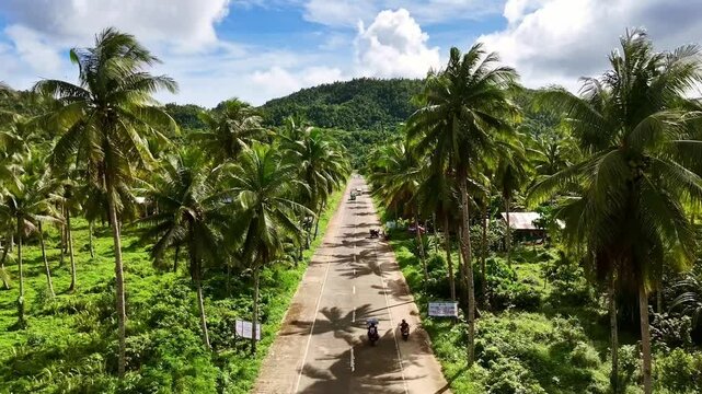 Drone Aerial view of coconut tree road in Siargao Island. rural scene, tropical jungle. tourism destination in Philippines.
