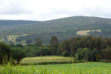 Obraz premium Rural landscape of Serra do Careón with mountains, eucalyptus forest, oaks, green pastures on cloudy spring day from Camino de Santiago road, Melide village, La Coruña, Galicia.