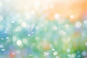 Obraz premium Nature shape pattern bokeh effect background backgrounds outdoors flower.