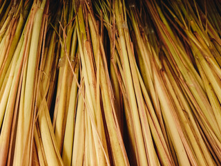 Lemongrass - Asian aroma fresh plant for cooking