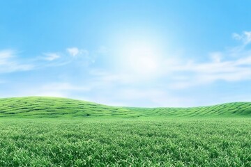 Serene Green Field Landscape with Rolling Hills and Bright Blue Sky