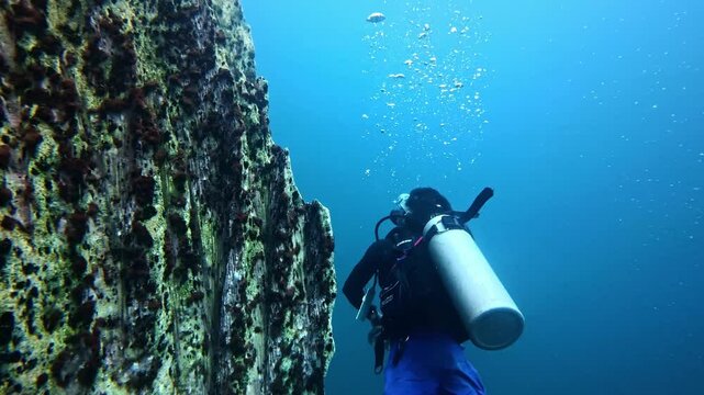 Scuba diving Barracuda lake limestone rocks in Philippines. tourism destination for snorkeling and scuba diving in Coron, Palawan. 