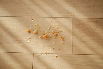 Crumbs scattered on wooden floor in bright sunlight