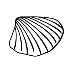 Sketched seashell icon, vector hand drawn design elements.